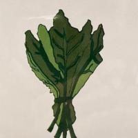 Nocturnal Paper - Greeting Card, Thanks For Making Me Eat My Greens · 
