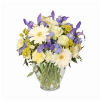 Welcome Baby Boy Flower Arrangement · Send sweet salutations with this breathtaking bouquet! With gorgeous white gerberas, lovely ...
