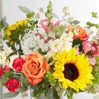 Sunshine Splendor · Like the splendor of a sunshine-filled day, our new bouquet radiates happiness.