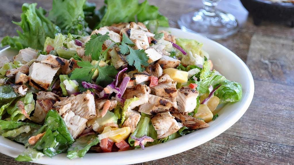 Pollo Mango Salad · Mixed salad greens, diced mango, red bell pepper, avocado and red onion, topped with grilled chicken and sweet and spicy dressing.