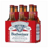 Budweiser | 6-Pack Bottle · 