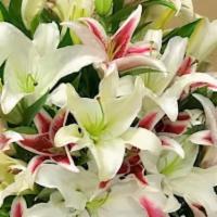 My Love · Flowers incuding: All colorful 10  premiums lilies.