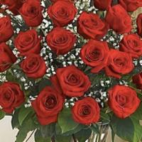 Dozen Love · A dozen roses in the glass vases