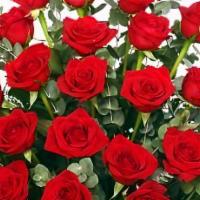 24 Radiant Roses · Red roses arrangement
rose vase , foliage: leather leaf, , ivy , eucalyptus, red roses.

Som...