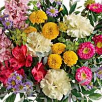 Goodness & Light Bouquet · Add a healthy dose of goodness and light to someone's day with this colorful bouquet! Its bo...