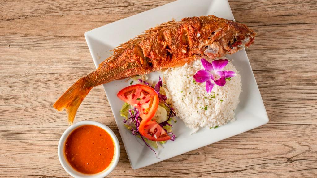 Pargo Rojo  · fried red snapper