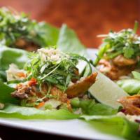 Lettuce Wraps · pulled, oven roasted chicken glazed with. hoisin sauce, on top of crunchy, organic. Asian sl...