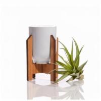 Mini Modern Plant Stand · A minimalist mini planter for the modern plant lover! The perfect adornment for the desk of ...