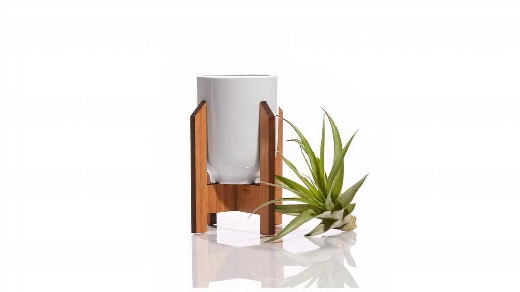 Mini Modern Plant Stand · A minimalist mini planter for the modern plant lover! The perfect adornment for the desk of a plant lover, designer and minimalist.

> Mid Century Modern Design
> 100% Wood Plant Stand
> 8 oz Ceramic Planter
> Approx. 5″ x 3″
> Plant Not Included