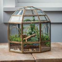 Urban Born Brass Birdcage Terarrium · 10″ X 9″ X 9″
The Birdcage terrarium is one of our most popular terrariums. Our inspiration ...