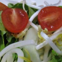 Raw Salad · FRESH GREEN LEAF, SLICED CUCUMBERS, CHERRY TOMATOES, BEAN SPROUTS WITH CHOICE OF PEANUT SAUC...
