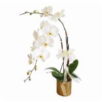 Large White Orchid Planter 2 Stem · Rare. Exquisite. Beautiful. This exotic orchid plant makes a loving way to honor a very spec...