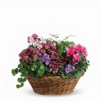 Simply Chic Mixed Plant Basket · Standard. Simply captivating. Simply charming. Simply chic. This pretty basket is overflowin...