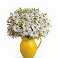 Teleflora'S Sunny Day Pitcher Of Daisies · Best seller. Picture someone receiving this sunny pitcher of daisies! It's so bright and ful...