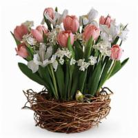 Tulip Song · As if a beautiful spring bouquet arranged in a nest-like woven basket wasn't cause enough fo...