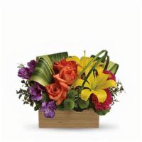 Teleflora'S Shades Of Brilliance Bouquet · Best seller. Send her a rainbow! Golden lilies, radiant roses and regal alstroemeria burst b...
