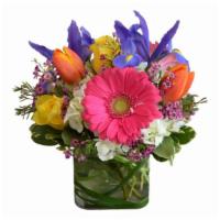 Jubliant · Iris, gerbera daisies, tulips, hydrangea and roses are expertly arranged in a glass cube vas...