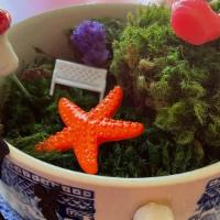 Fairy Garden Kit · Small cup, moss, 5 trinkets