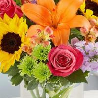 Floral Embrace · Like a warm embrace, our vibrant flower bouquet delivers your sentiments to someone special....