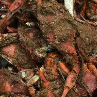 Male Crab · 1 dozen (medium, large & a few extra large)