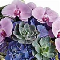 Exquisite Elegance Bouquet · Truly exquisite, this uniquely sculptural bouquet of pale purple orchids, silvery succulents...