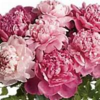 Teleflora'S Perfect Peonies · It's no wonder that the peony has been favored by first ladies, famous ladies, and probably ...