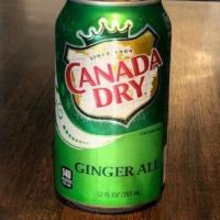 Ginger Ale Can · 