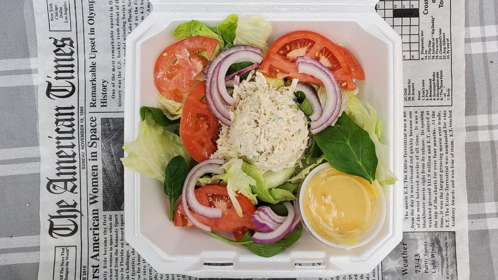 Chicken Salad Plate · Chicken salad lettuce tomato spinach & onion with your choice of dressing.