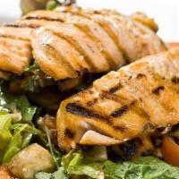 Grilled Salmon Salad · Spring mix, grilled coho salmon, tomatoes, cheese, raisins, tortilla chips.