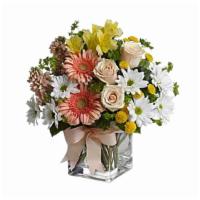 Ashley'S Walk In The Country Bouquet · Standard. Light up someone's day with this bright and bountiful bouquet. Fresh, feminine and...