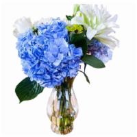 Hydrangea Freestyle  · This is the perfect set if you have no idea what exactly you want besides Hydrangea. Just ch...