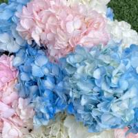 Cottoncandy Hydrangea Bouquet  · No better way to brighten someone’s day than to give a beautiful bouquet of mixed Hydrangeas...