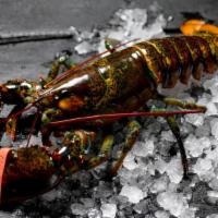 Live Lobsters 1 1/2 Lbs - Not Steamed · 