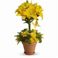 Yellow Fellow · Best seller. This yellow fellow just can't contain himself. Full of joy and flowers, this bo...