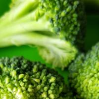 Broccoli · Steamed Fresh Broccoli