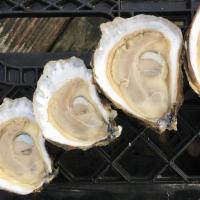 Cotuit 1/2 Dozen* · Cotuit Oysters are recognized for their unique briny flavor unlike any other. Freshwater str...