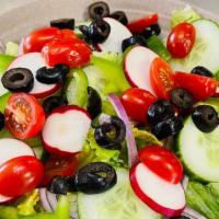 Garden Salad · Lettuce, tomato, olives, green peppers, red onion, radish, cucumbers, pita bread and dressing.