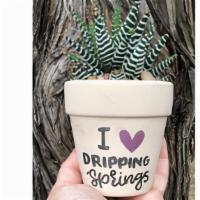 I Love Dripping Springs Arrangement · I love Dripping Springs arrangement , succulents may vary based on availability.