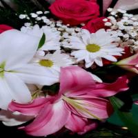 Holland Lily & Rose Bouquet · 2 lily's white & pink, 2 white daisies, 4 explorer red roses, 1 baby breath flower and 1 tep...