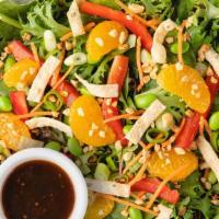 Asian Salad · Mesclun Greens, Edamame, Shredded Carrots, Orange Segments, Red Bell Peppers, Crushed Peanut...