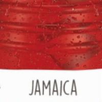 Jamaica · 32oz fresh Jamaica agua fresca (hibiscus). 
(if you would like no ice, you MUST select the o...