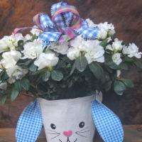 Bunny Azalea  · THIS BEAUTIFUL BLOOMING AZALEA IS COMPLIMENTED BY THE CUTE BUNNY HEAD AND IS SURE TO LIVEN U...