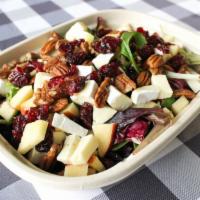 Apple Brie Salad · Mixed Greens, French Brie, Apples, Pecans, Dried Cranberries, Green Onions. Served with hous...