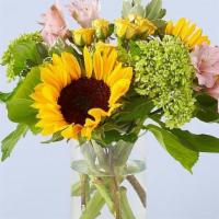 Butterfly Kisses · The only thing better than sunshine? These light and bright blooms. Butterfly Kisses is the ...