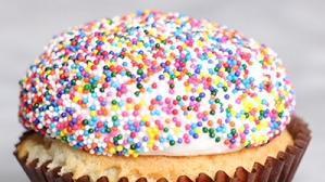 Birthday Cake Cupcake · Vanilla bean cake and vanilla buttercream with sprinkles.