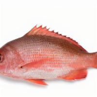 Red Snapper- Per Fish Apprx 1 Lb · 