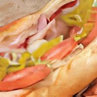 Italian Cold Cut · Stacked ham, salami, capicolla, provolone, our special sauce, with lettuce, tomato, onions, ...