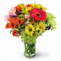 Flower Festival · Looking for birthday flowers? Get-well wishes? Our Flower Festival works overtime on just ab...