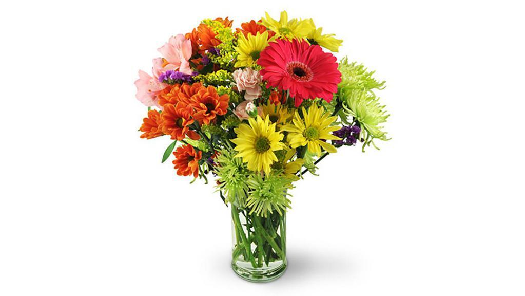 Flower Festival · Looking for birthday flowers? Get-well wishes? Our Flower Festival works overtime on just about any occasion to get your message across. This spectacular arrangement is loaded with daisies, alstroemeria, mums, and mini-carnations and will get the job done!

Gerbera daisies, alstroemeria, mini carnations, and a colorful variety of mums are expertly arranged with solidag and purple statice in a classic glass vase.

Approximately 12