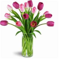 Perfect Pink Tulips™ · Trés pink! Stunning bright pink tulips are just perfect for mother's day - and to celebrate ...